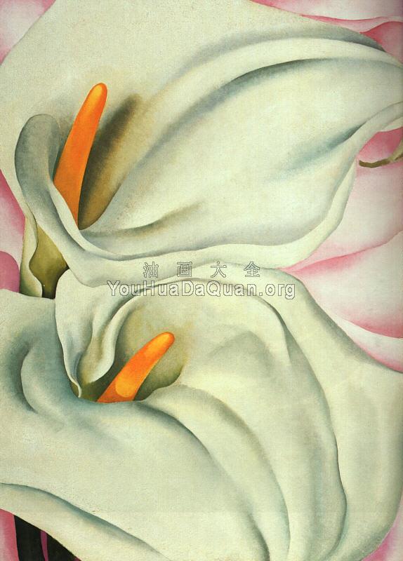 Two Calla Lillies on Pink - 乔治亚·奥基夫